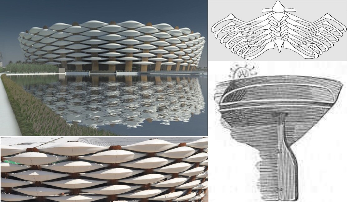 لاحظ التشابه بين شكل اضلاع طائر كبير وسفينة خشبية مع شكل ملعب البصرة الدولي