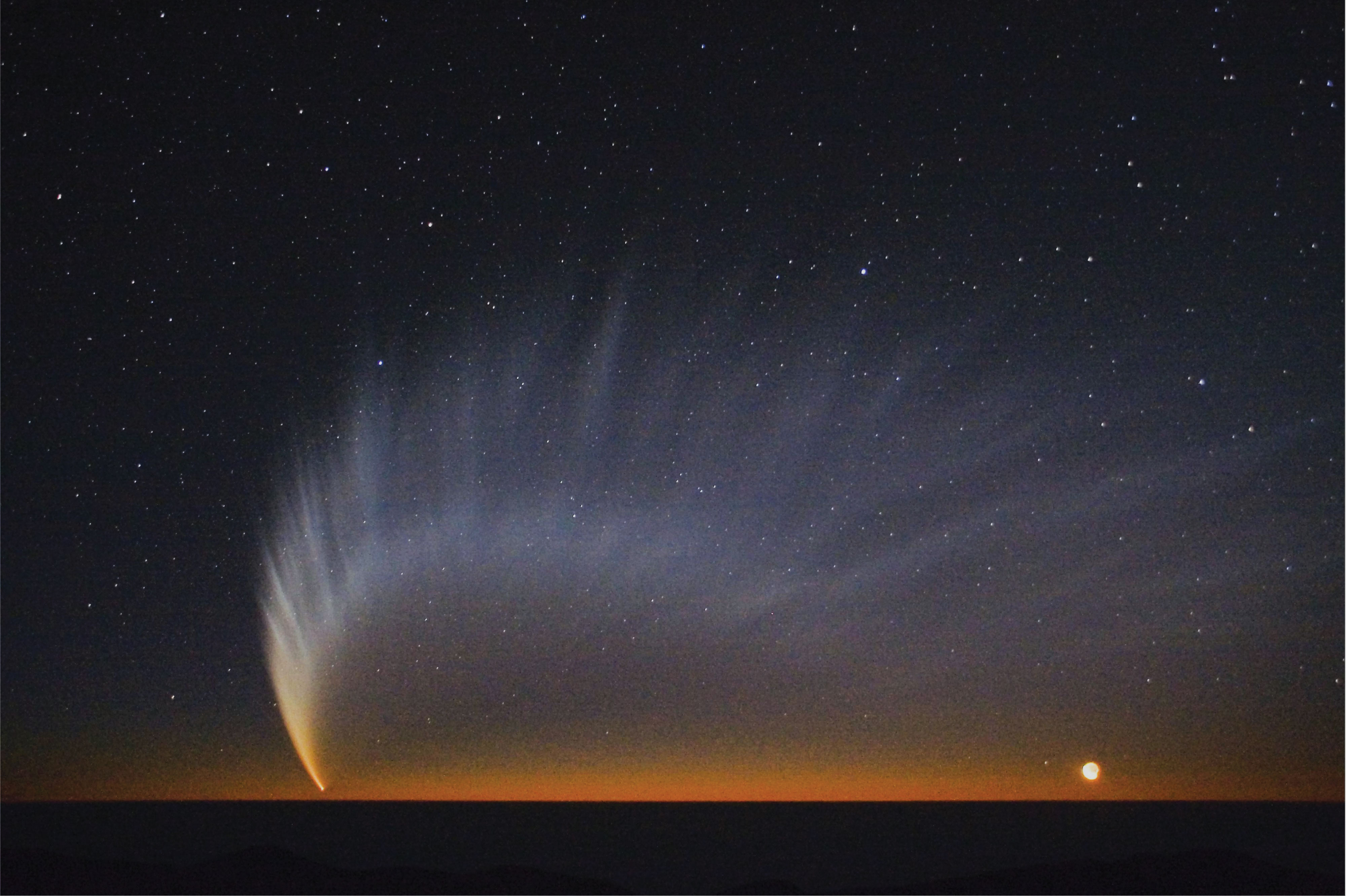 دار حول الشمس المذنب ماكنوت McNaught C/2006 P1 وانعطف بشدة
